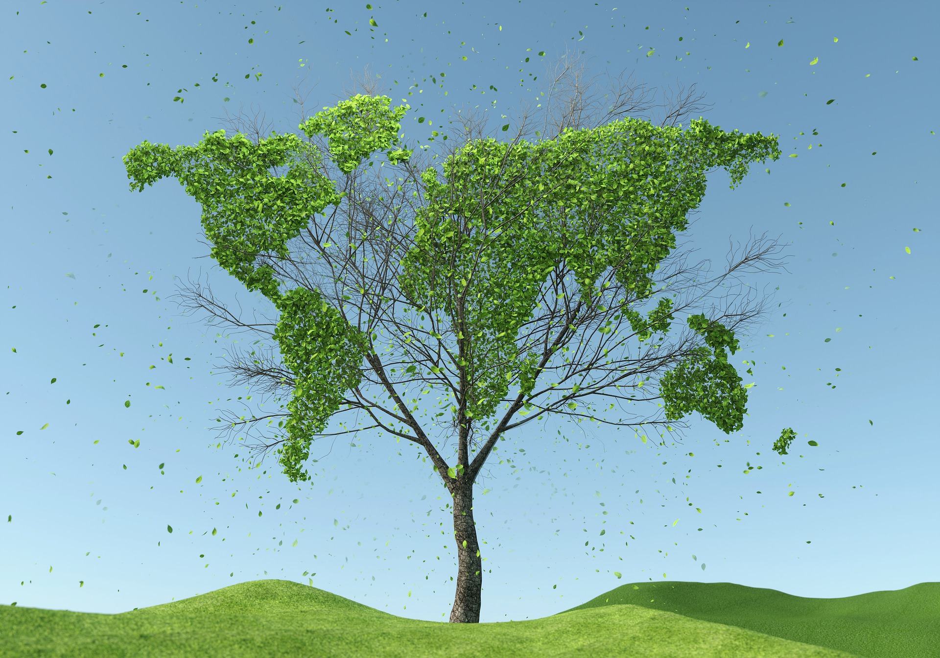 Tree card. Дерево World of. Картинка дерево для карты. Зеленое дерево в Ворде. Imagining Sustainability.